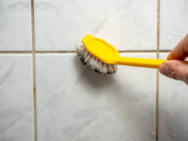 Best Toxic Mold Removal  in Manton, MI
