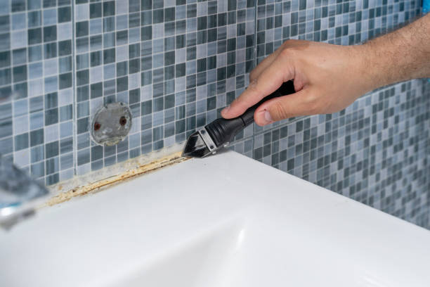 Best Local Mold Removal Service  in Manton, MI